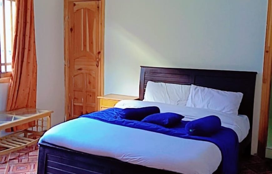 Pine Grove Hotel (Naran)