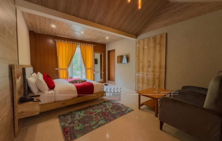 Hotel Village Inn (Naran)