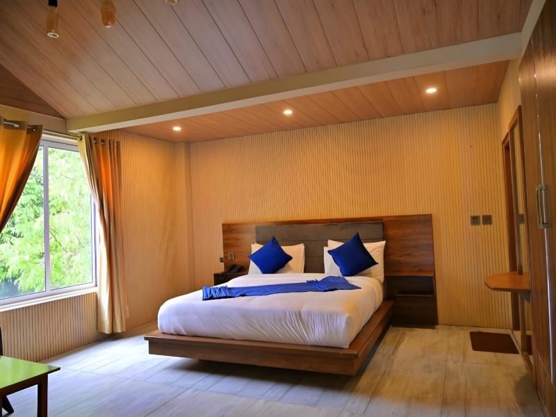 Deluxe Plus Room