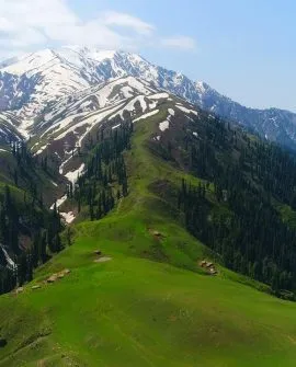 Shogran