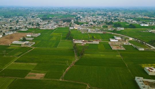 Swabi