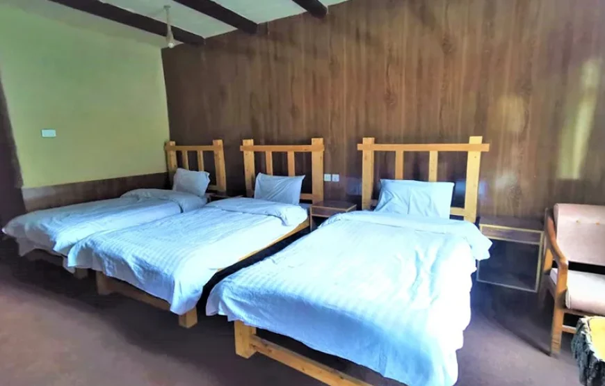 Borith Lake Hotel & Resort (Gulmit)