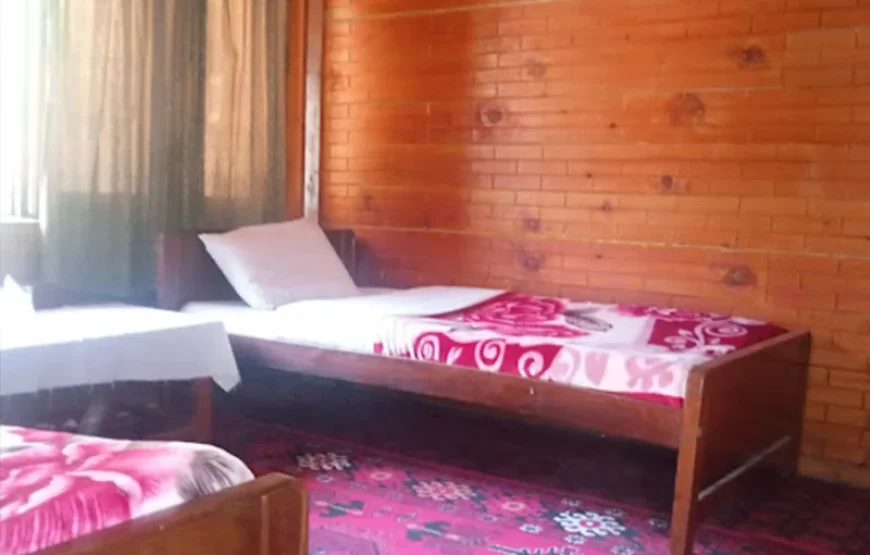 Foreigner Tourist Inn (Kalash Valley)