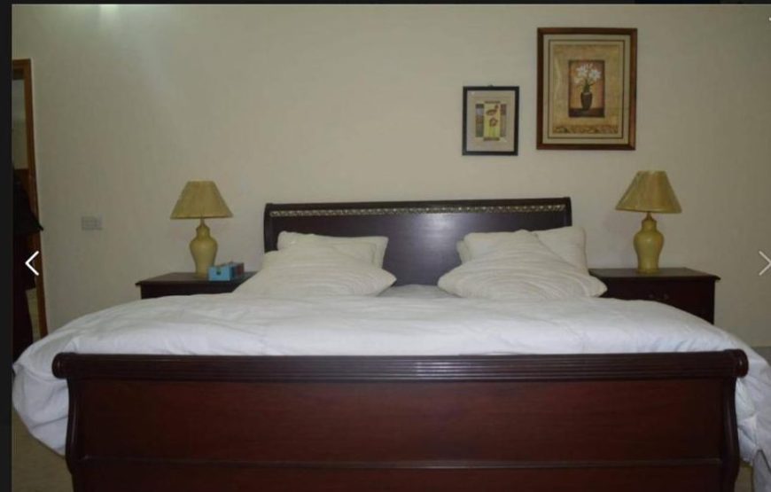 Drosh Resort (Drosh)