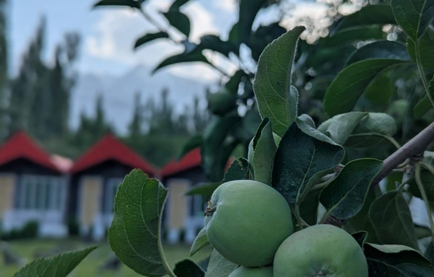 Comfort Hotel & Huts (Skardu)