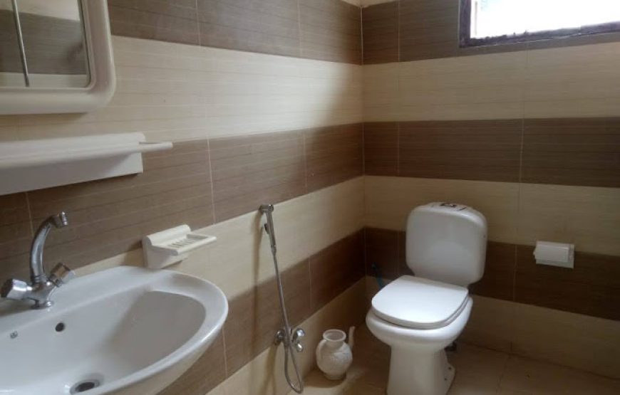 Hotel Valley View (Sharda)