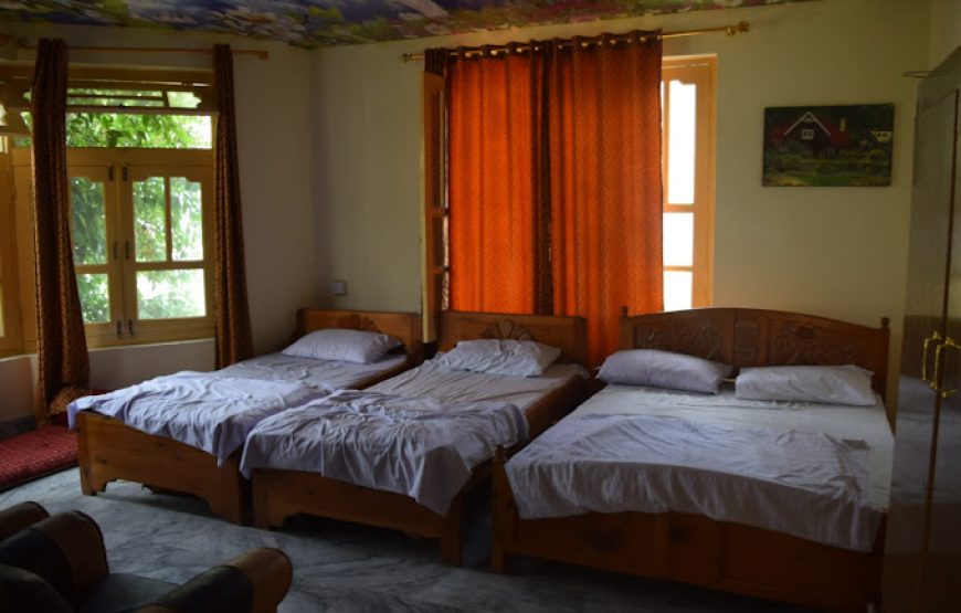 Chitral Green Guest House (Chitral)