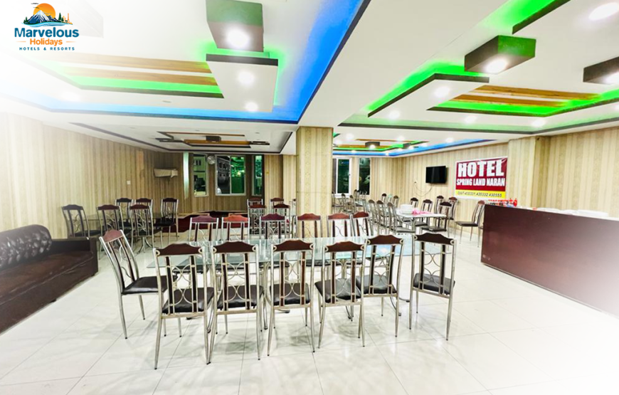 Hotel Spring Land (Naran)