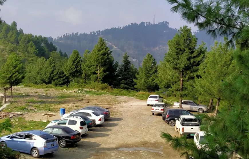 Green Hilton Hotel (Shangla)