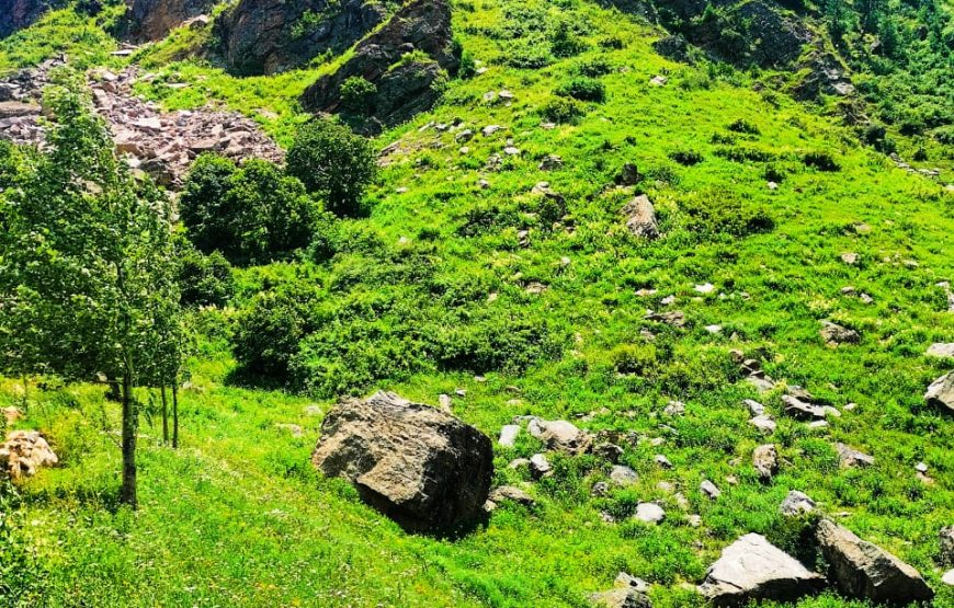 Ice Land Resort (Batakundi)