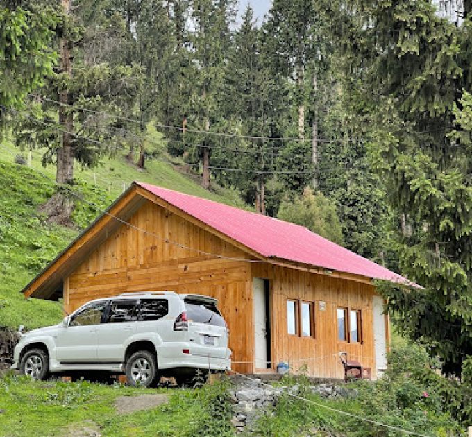 Strawberry Huts (Naltar Valley)