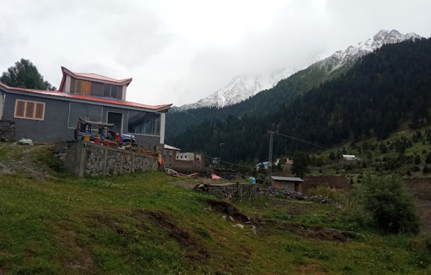 Jumaira Resort (Naltar Valley)