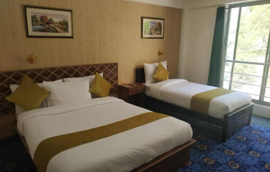 Hunza Grand Motel (Aliabad)