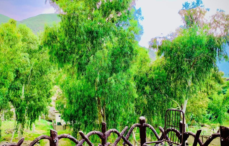 Indus Hotel (Besham)