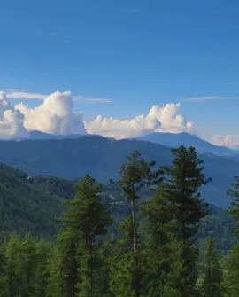 Murree