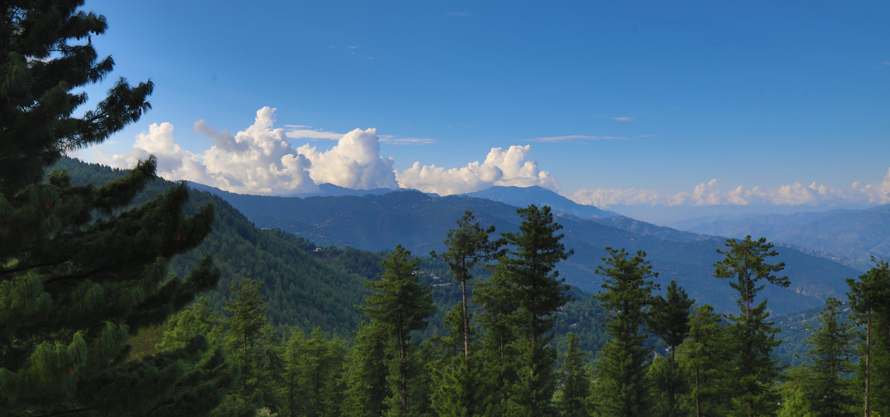 Patriata (New Murree)