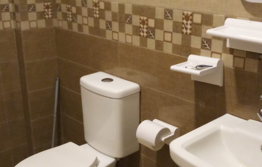 Ghizer Blossom Inn Hotel (Gupis)