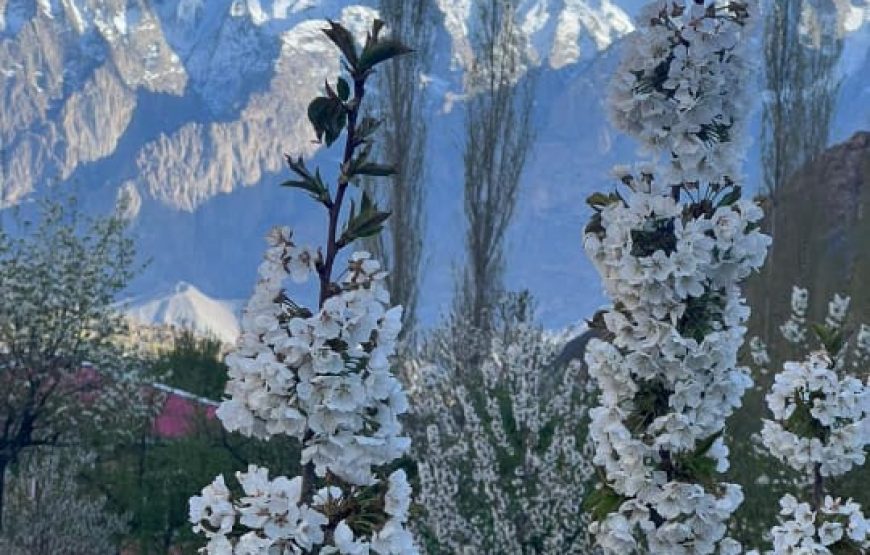 Ghizer Blossom Inn Hotel (Gupis)