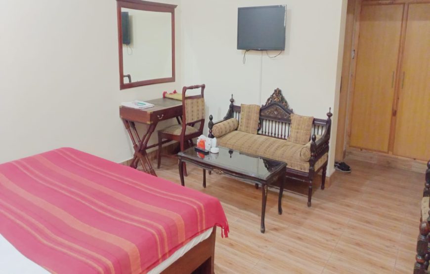 Luxury Palace Guest House (Peshawar)