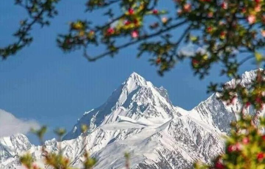 Manasau Resort (Karimabad)