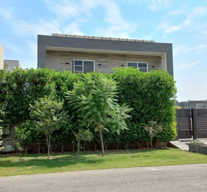 Wednesday Homes Guest House (Lahore)