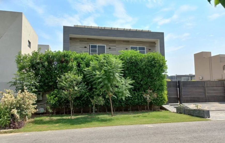 Wednesday Homes Guest House (Lahore)