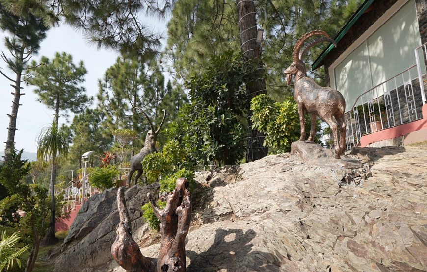 Marcopolo Resort (Abbottabad)