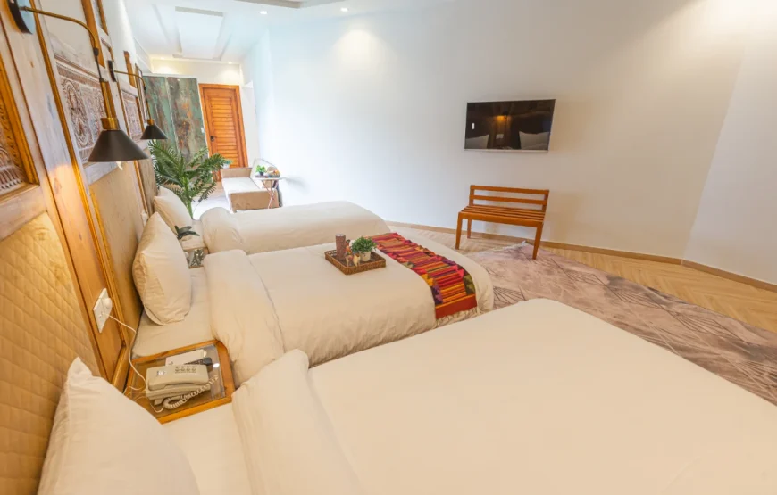 Zen Luxus (Kalam Valley)