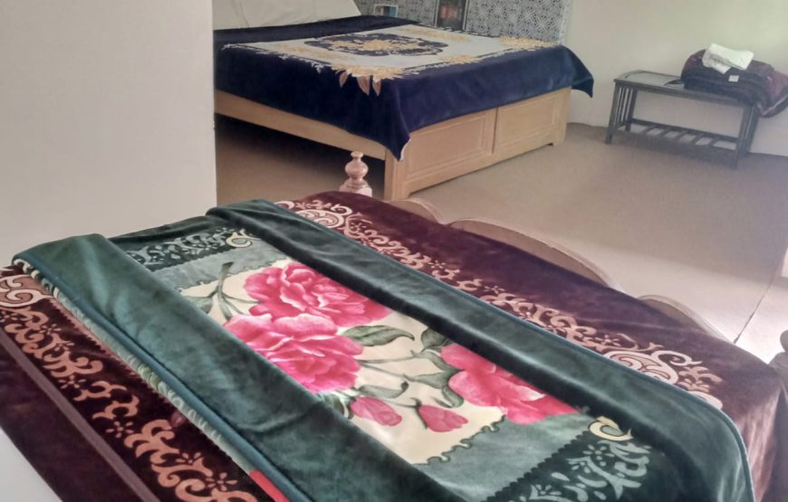 Pine Grove Hotel (Naran)