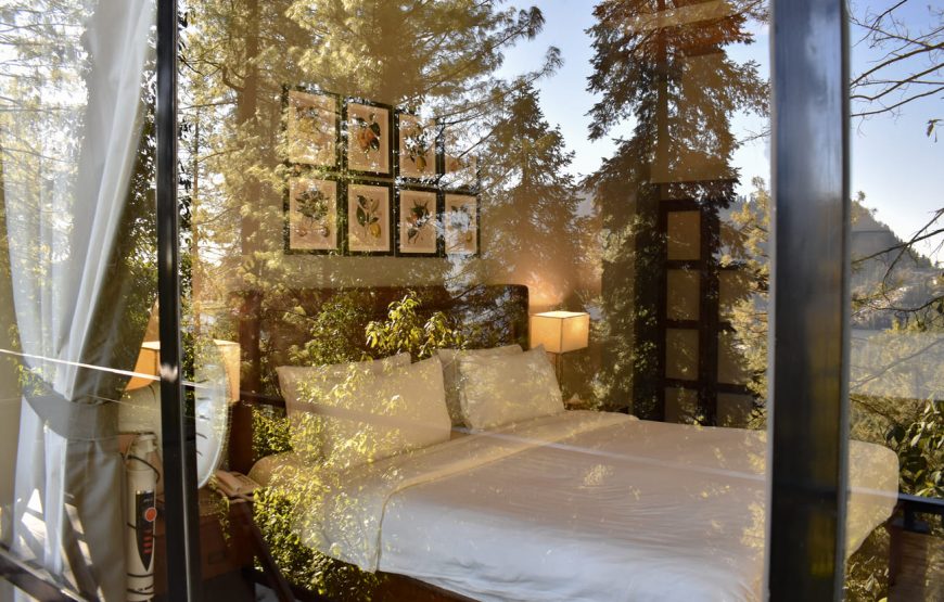 Lemon Lodges by Roomy, Nathia Gali