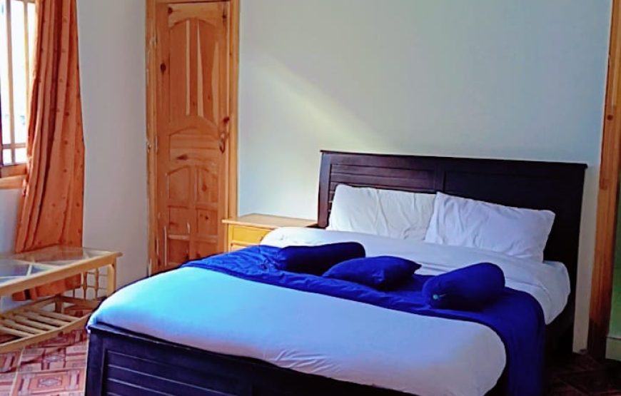 Forest View Hotel (Naran)