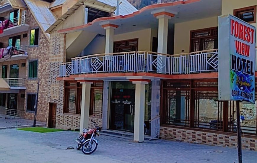 Forest View Hotel (Naran)