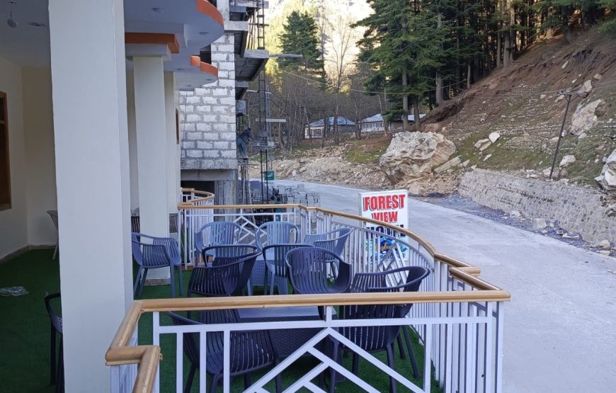 Forest View Hotel (Naran)