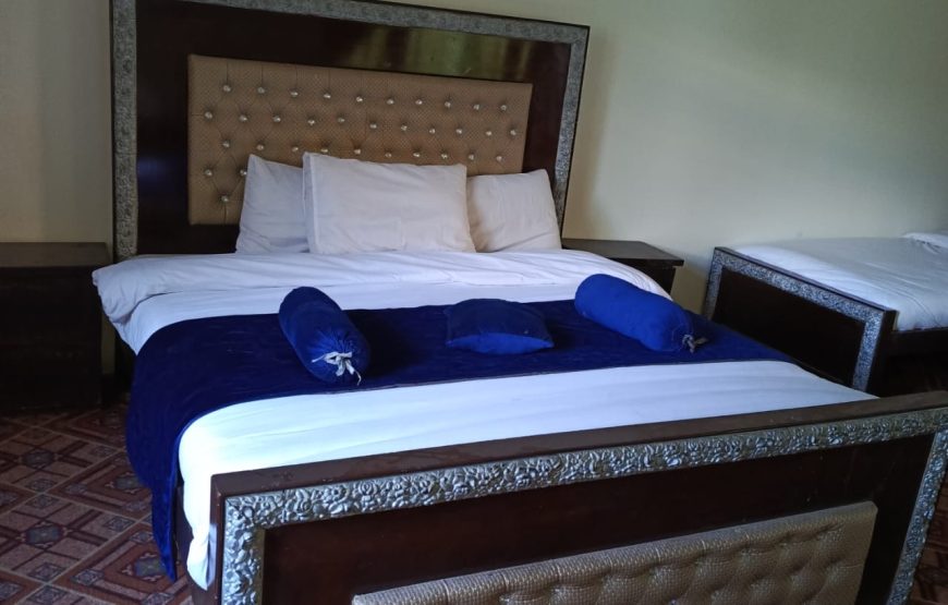 Forest View Hotel (Naran)