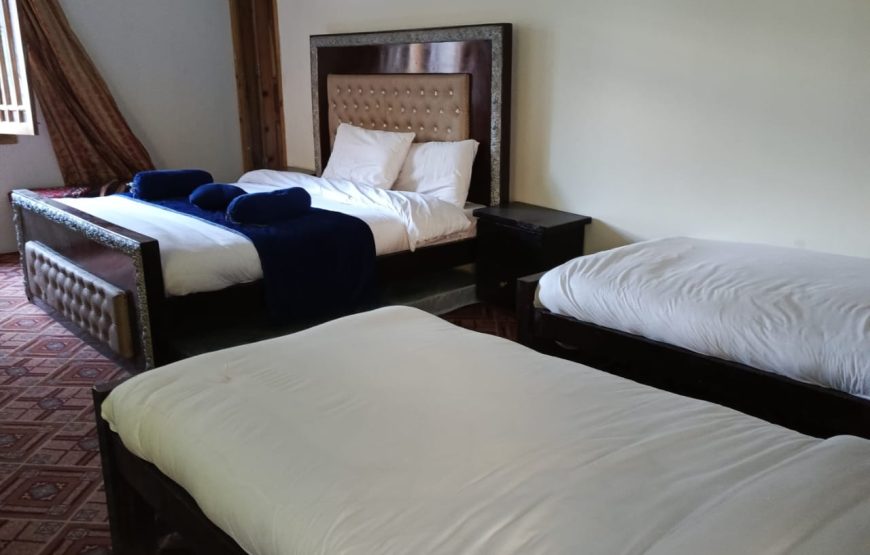 Forest View Hotel (Naran)