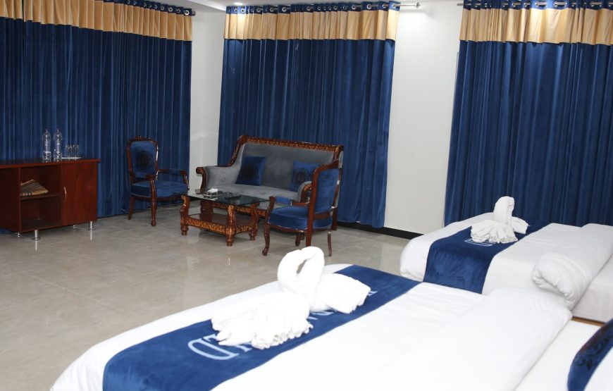 Jovial Gold Hotel (Naran)