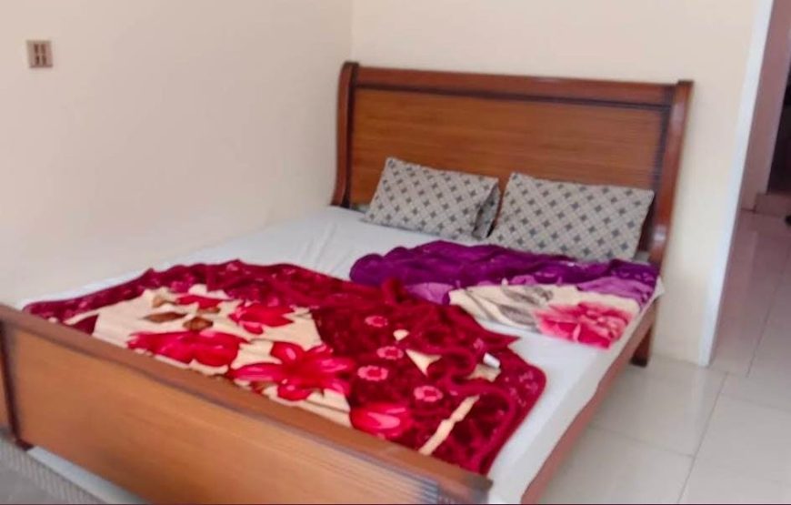 New White Palace Hotel & Restaurant (Naran)