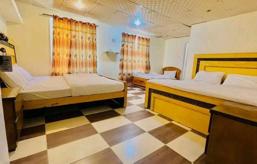 Pine Track Hotel (Naran)