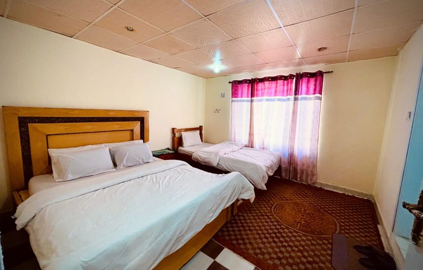 Pine Track Hotel (Naran)