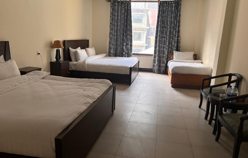 Pine Park Hotel (Naran)