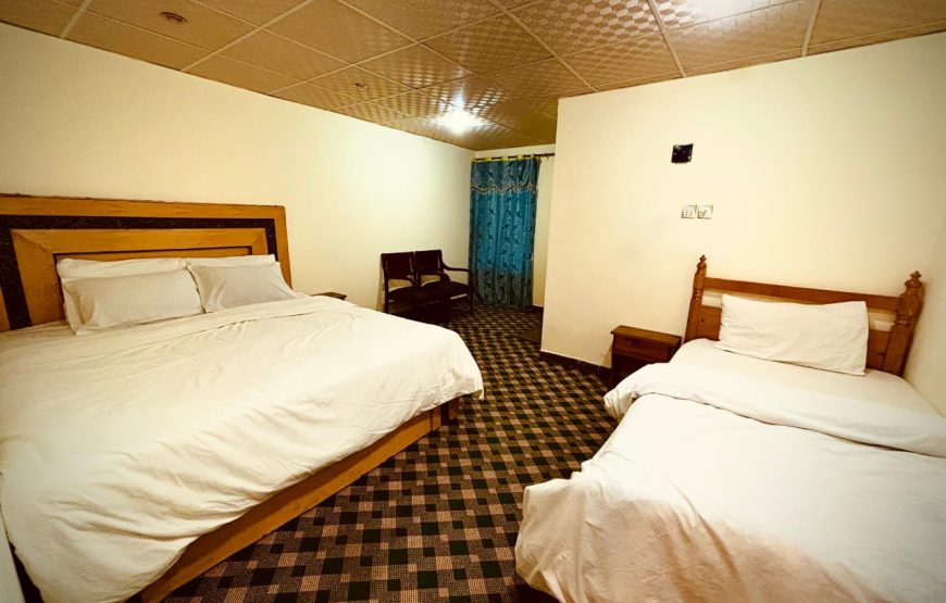 Pine Track Hotel (Naran)