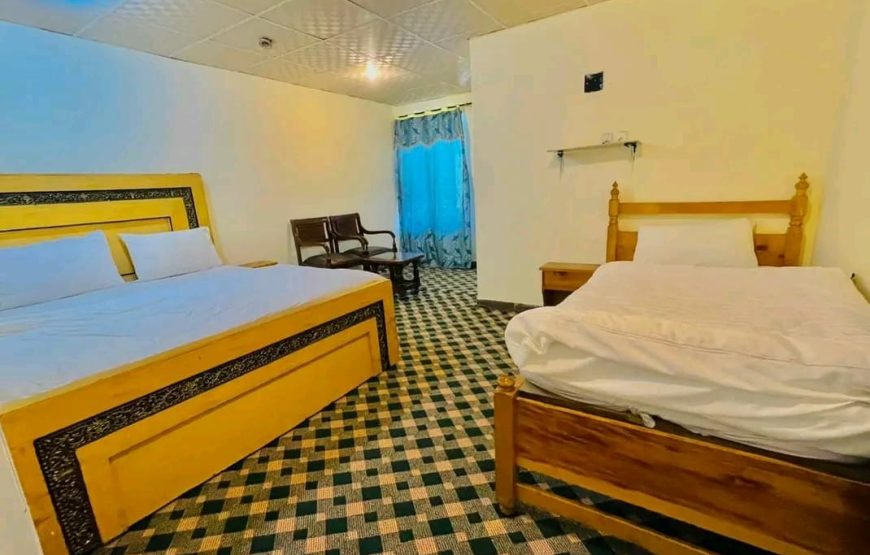 Pine Track Hotel (Naran)