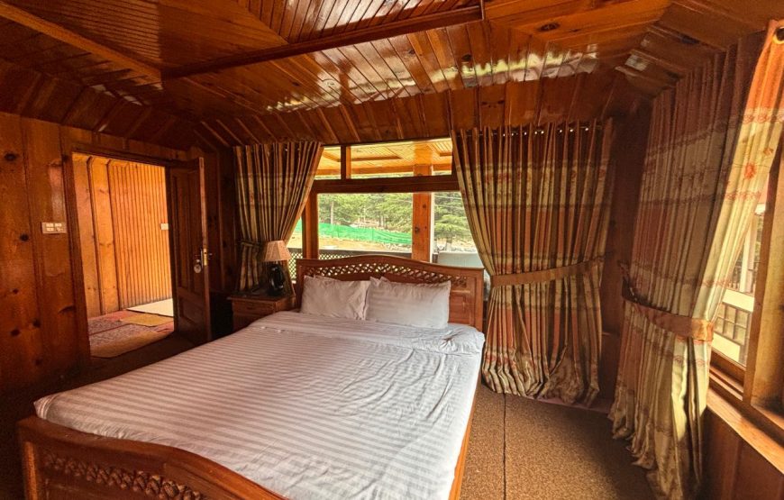 Pine Park Hotel (Naran)