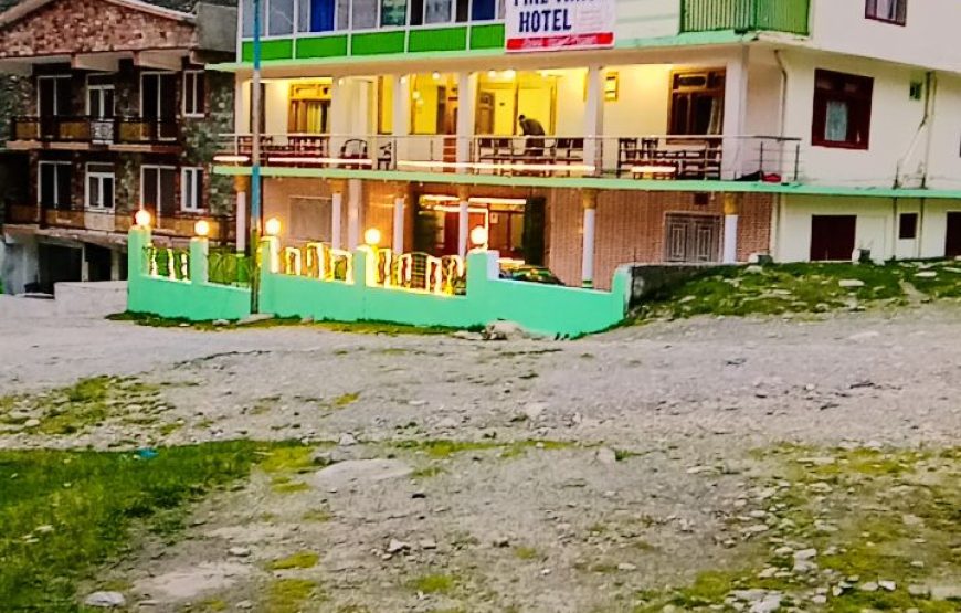 Pine Track Hotel (Naran)