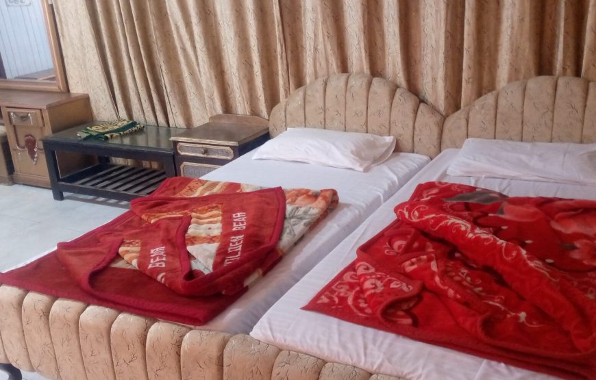 Snow Land Hotel (Naran)