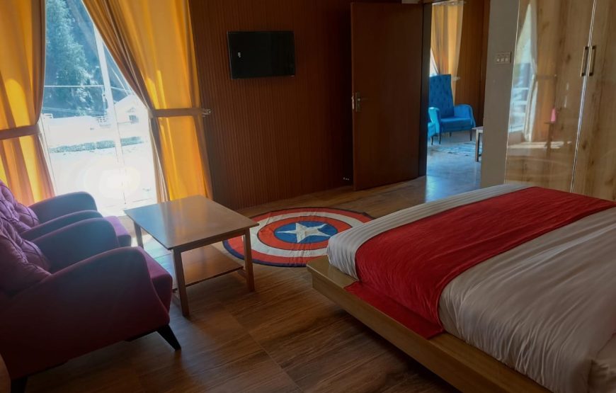 Hotel Village Inn (Naran)