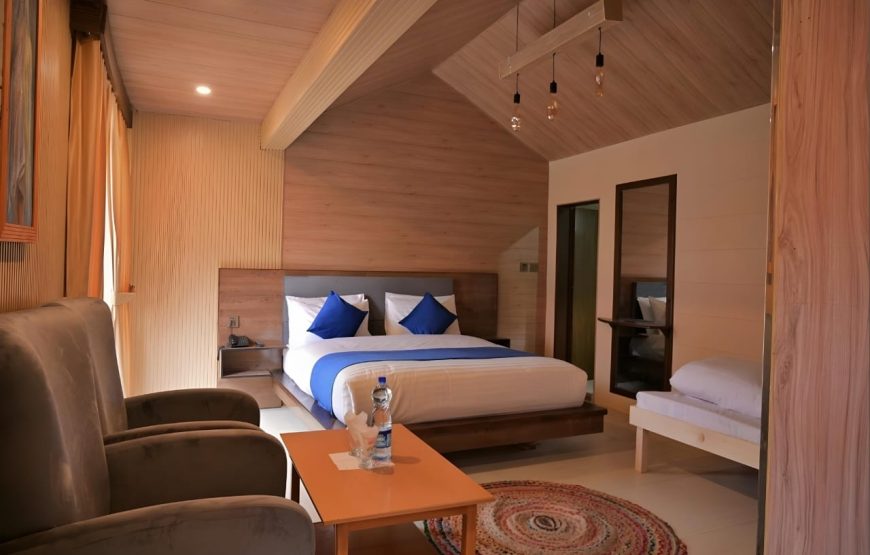 Hotel Village Inn (Naran)