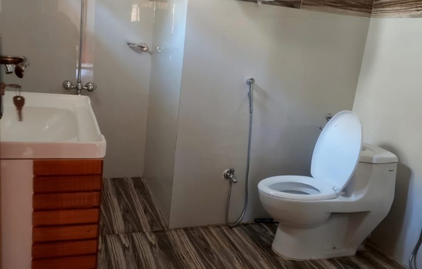 Hotel Village Inn (Naran)