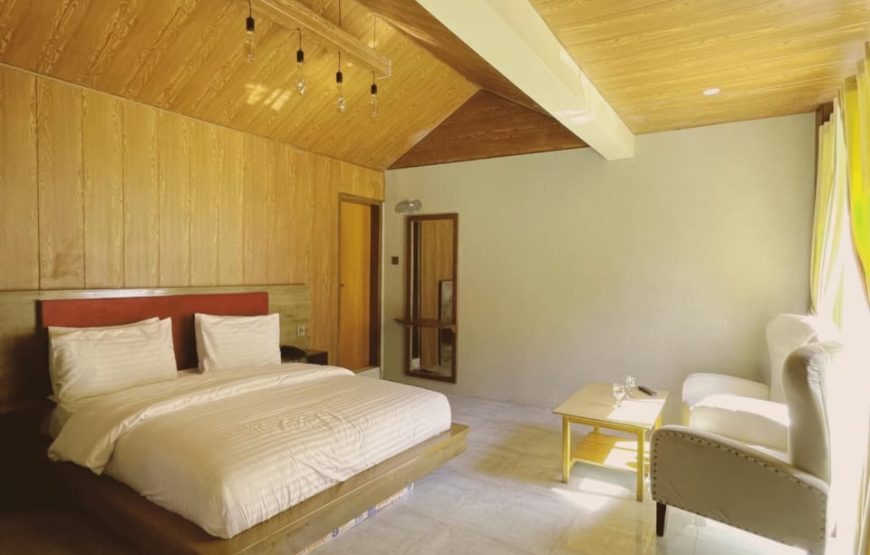 Hotel Village Inn (Naran)