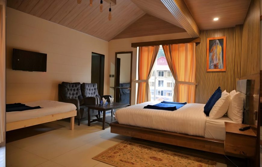 Hotel Village Inn (Naran)